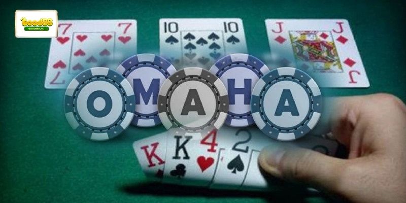 Bật mí về Poker về biến thể là nền tảng quan trọng để phát triển kỹ năng