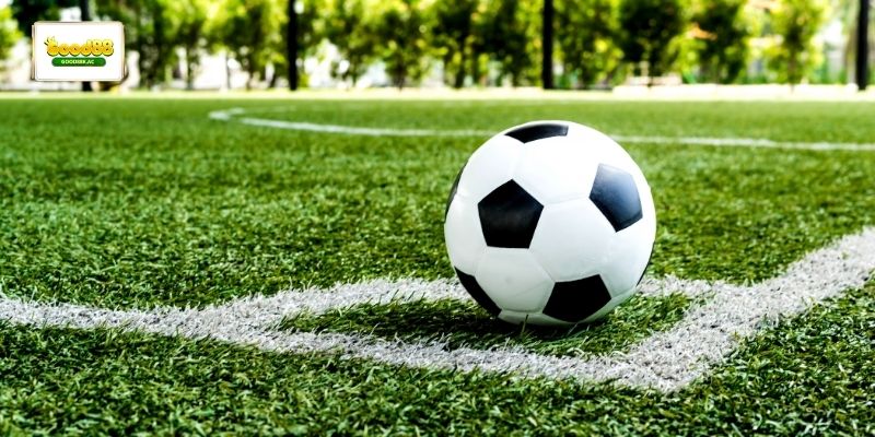 Cá độ bóng đá là gì được sử dụng khi hai đội có sự chênh lệch về trình độ