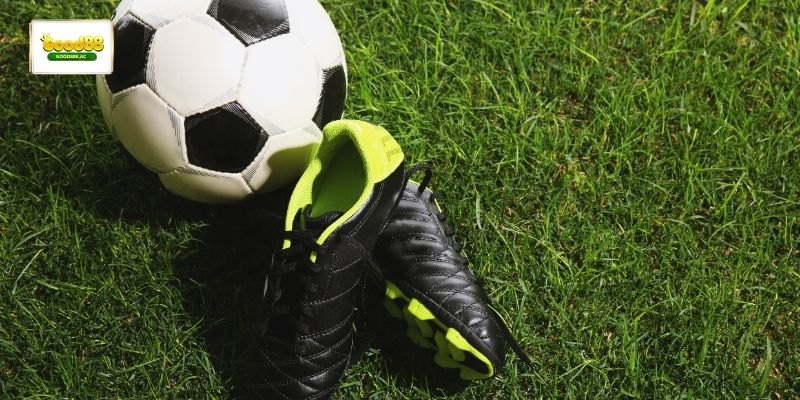 cach-bat-ti-so-bong-da-ava