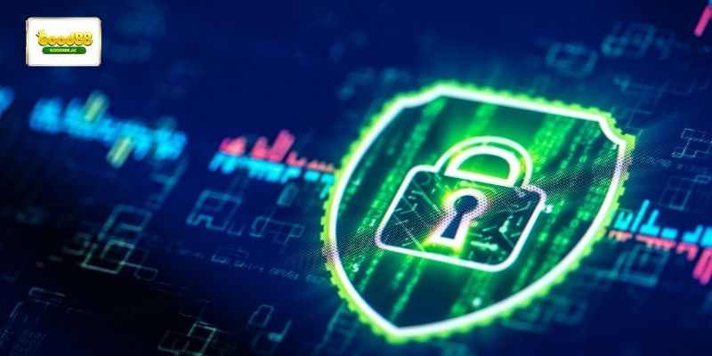 Chính sách bảo mật quy định phạm vi sử dụng thông tin của hội viên