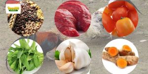 thức ăn cho gà đá