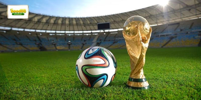 Các đội tuyển hàng đầu chuẩn bị tranh tài tại Worlcup 2026